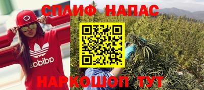 амф Можга