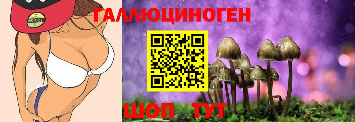 Ступино  Галлюциногенные грибы MAGIC MUSHROOMS  Вход с VPN 